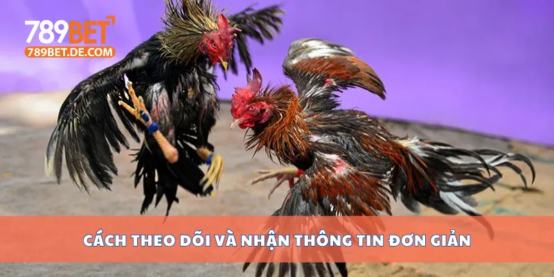 Cách theo dõi và nhận thông tin đơn giản Cách theo dõi và nhận thông tin đơn giản