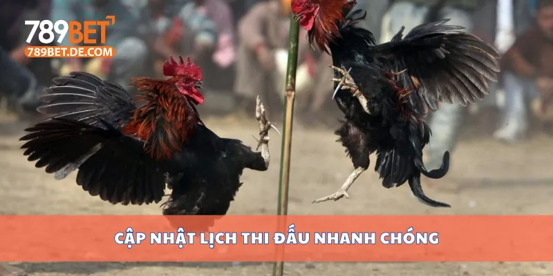 Cập nhật lịch thi đấu nhanh chóng Cập nhật lịch thi đấu nhanh chóng