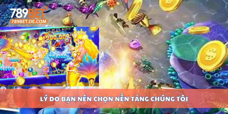 Lý do bạn nên chọn nền tảng chúng tôi Lý do bạn nên chọn nền tảng chúng tôi