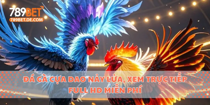 đá gà cựa dao